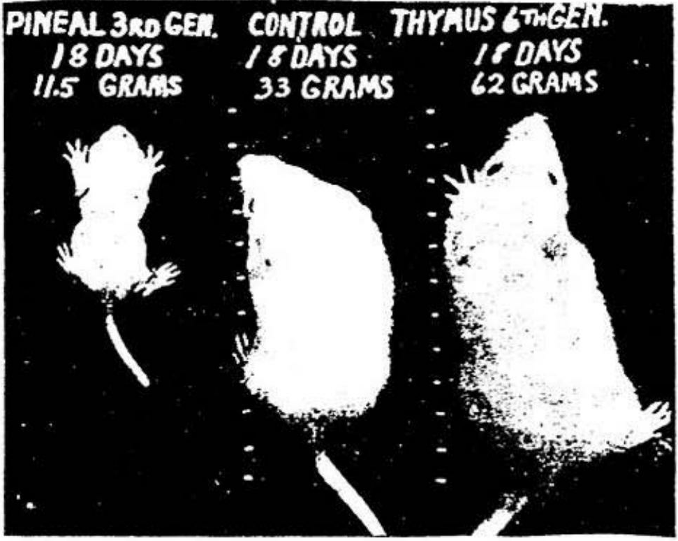 fig1