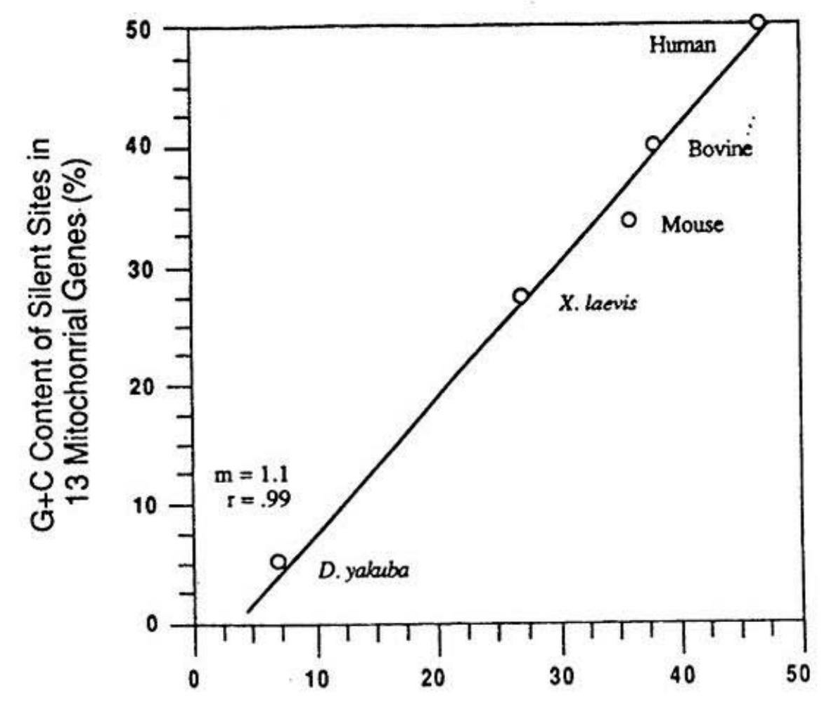 fig7