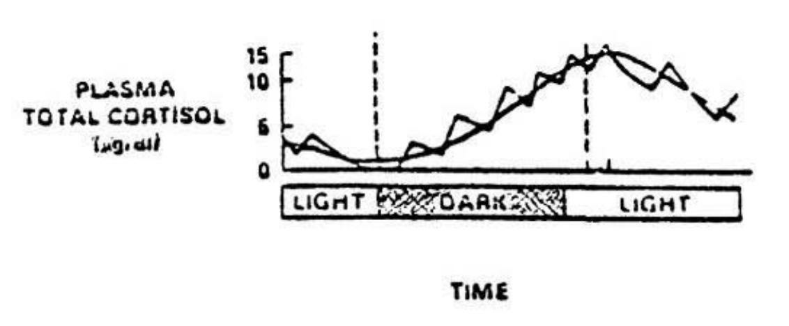 fig1