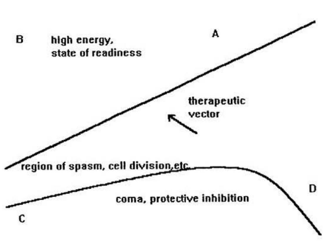 fig1