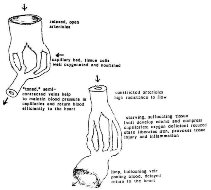 fig2