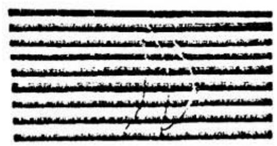 fig1