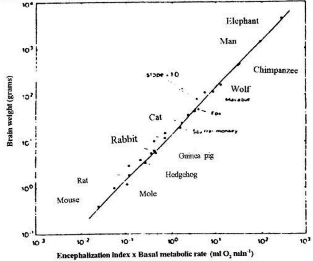 fig1
